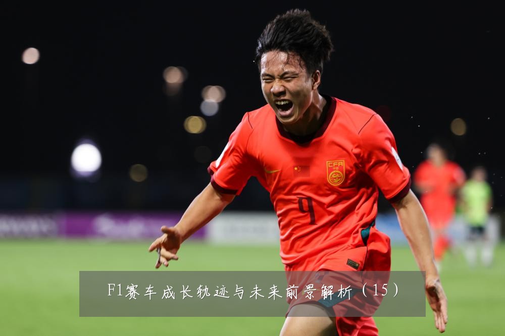 F1赛车成长轨迹与未来前景解析(15)